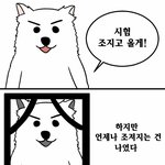 시험이다 <b>찌</b><b>발</b>....