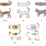 고양이 몸매 너무<b>귀요</b>워...