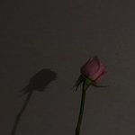 [댓글부탁해] <b>부산</b>이나 대구 쌍수 잘하는곳 아는친구 잇냥