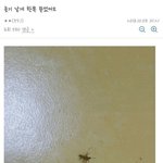 [댓글부탁해] 너희 <b>기절</b>해본적있냐