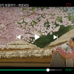 [EXO] 아 벚꽃연가뮤비 이제봤는데 <b>홍</b>심원득 그동안<b>일</b> 쫙 정리해서보니까