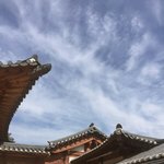 일부 애들 계속 <b>생</b>1리1충이러는거 <b>왜</b>그러는거임?ㅋㅋ