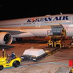 히말라야 참사 한국인 시신 5명 조금전 고국 가족품으로