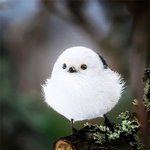 조류계의 씹<b>덕상</b>