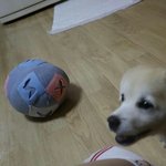 [짱<b>절미</b>] <b>절미</b> 인스타 업뎃