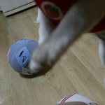 <b>절미</b> 발 좀봐..