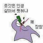 썸남이랑 내기했는데 뭐하면 좋을까??