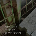 전 마을에 인접했던 시설은 폭언과 <b>민원</b>에 시달려야 했고 결국 산자