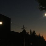 [드루와] 혹시 나처럼 폰<b>카로</b> 사진 찍는 애들 없니