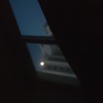 [드루와] 자다가 <b>달빛</b>에 잠깨본 애들 있음?