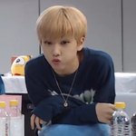 [NCT] 찌송이 유사병지
