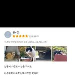 고양이 <b>사료</b> 솔직한 후기.jpg
