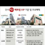 국내 3대 백화점 <b>VIP</b> 기준