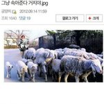 그냥 <b>속아</b>준다 거지야.