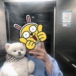 [강아지] 뽀메계의 원빈 3