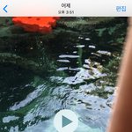 애버랜드 북극곰 통키 죽었어