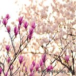 [꼭봐주세요] <b>근심</b>을 덜어주는 인생 조언~