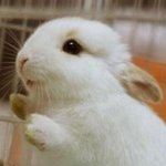 [드루와] 이름보고 첫<b>인상</b> 써줄게!!