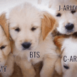 [방탄소년단] 애들 보고 싶다