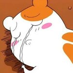 에비<b>츄</b> 닮았다는 말