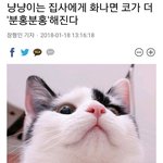 [모두드루와] <b>조공</b>안받는 엑소 멤버