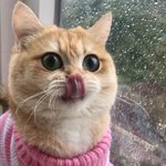 [댓글부탁해] <b>체육</b>대회 안 흔한 메이크업 추천 좀!
