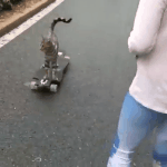 여자에게 반한 포인트 알려줘