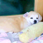 [댓글부탁해] <b>졸업</b>하기 <b>전</b>에 꼭 해야할 것들