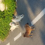 피방 알바 중에 이상한 아가씨가 왔어요.