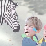 [강다니엘] <b>동물원</b>에 간 코룽이