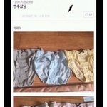 [드루와] 얘들아 강아지 ㅗㄷㅇ꼬에서