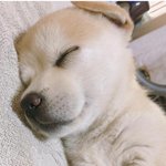 [드루와] 짱<b>절미</b>ㅜㅜ