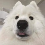 [드루와] <b>대입선물</b>로 폰 바꿔달라하는거 불효인가