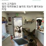 [드루와] 이거 내가 기분나빠할 상황 맞지????? 사실 맞든 아니든...