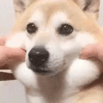[19] 다들 <b>주량</b> 얼마임?