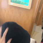 [EXO] <b>밑</b>에 전세기 <b>침대</b> 여기서봐