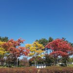 살아<b>계실</b>때 잘해드려