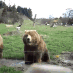 [드루와] 추) 너희는 코카<b>콜라</b> 노래? 뒤에 뭐붙히냐?