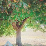 [EXO] 종인이 인별 사진 여름 <b>가을</b> 겨울 같다