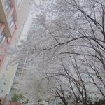 [댓글부탁해] 노브랜드에서  꼭 <b>사야</b>할 거 ㅊㅊ 좀
