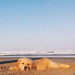 입 웃으면 하트<b>모양</b>?인 애보면 어떤생각들어?