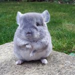 [댓글부탁해] 나 진짜 음식 사진 개못찍는다ㅋㅋㅋ 혐주의..