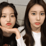 <b>아이즈</b>원 인기