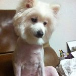 아니 <b>증명</b>사진 찍었는데 현타오짐 ㅅㅂ