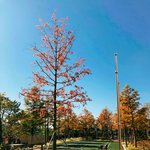 [댓글부탁해] 아이돌 데이터 <b>사본</b>사람ㅠㅠㅠ