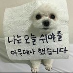 하 <b>연세대</b> 고려대 추반좀