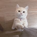 판남이랑 연락하고 사귀는중이라고 했던앤데