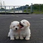 아이유 노래 추천 좀
