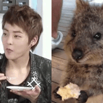 [EXO] 민서기 쿼카 썰.<b>gif</b>