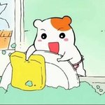 에비<b>츄</b>